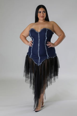 Denim & Tulle Tube Dress