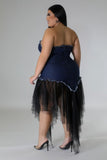 Denim & Tulle Tube Dress